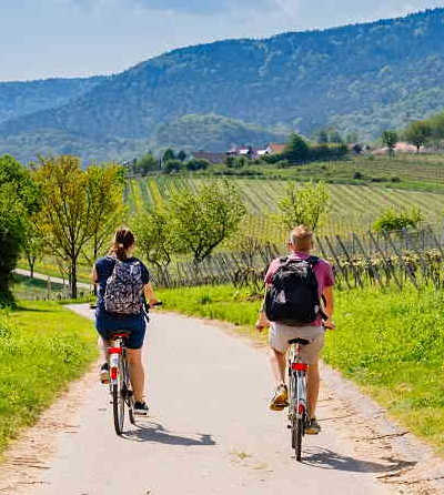 1 Day Tuscany Bike Tour €109