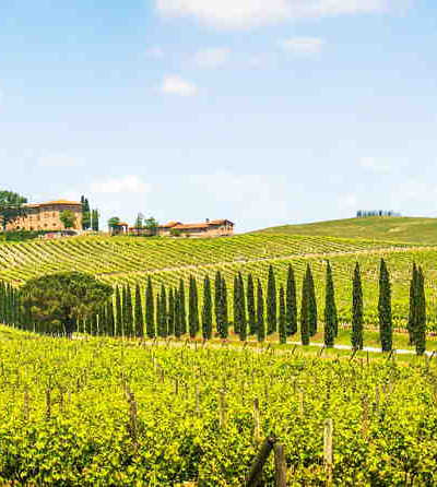 Half Day Chianti Wine Tour from Florence €39
