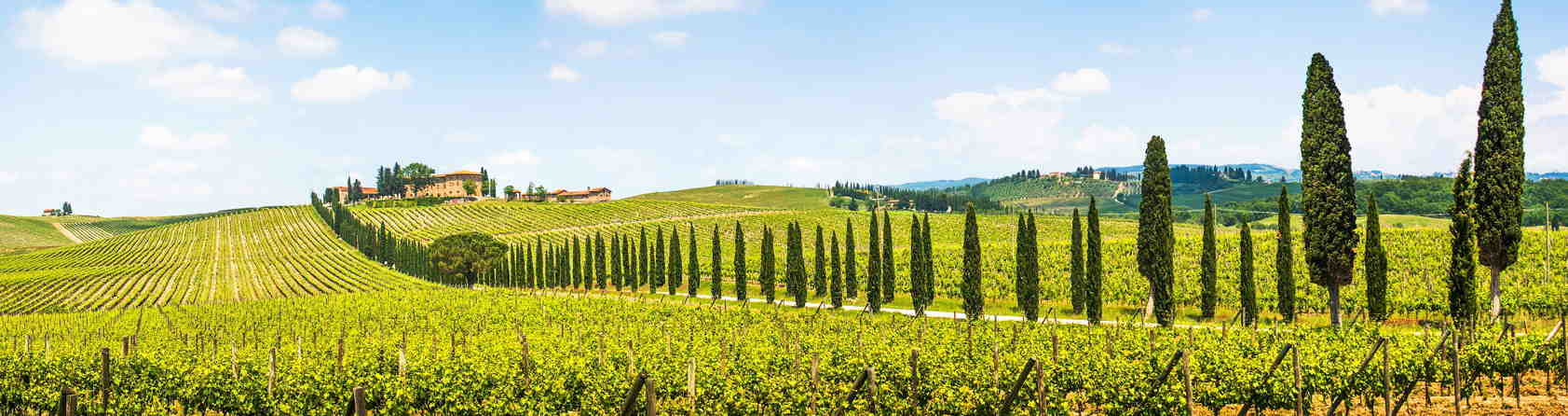 Half Day Chianti Wine Tour from Florence €45