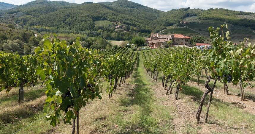 winery in tuscany