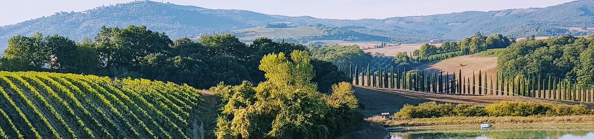 How do you get to wineries in Tuscany?
